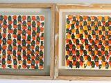 deux tableaux représentant des oranges et des feuilles vertes, dans un cadre en bois