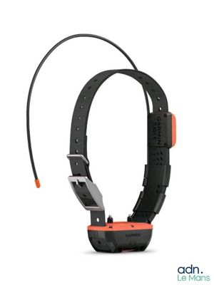 un gros plan d'un collier de chien noir et orange sur fond blanc