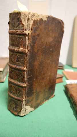 La vie de Dom BARTHELEMY des Martyrs religieux de l’Ordre de S. D...