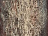 une peinture abstraite sur fond marron et blanc, encadrée de noir