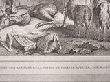 a drawing of a group of animals that are in a field
