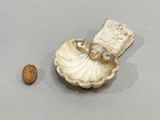 a shell and a nut on a table