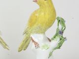 two yellow birds sitting on a branch of a tree