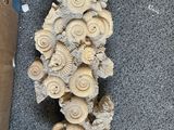 a large group of shells on the floor next to a cardboard box