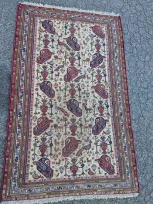 un tapis oriental posé à même le sol, sur lequel est allongé un chat