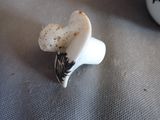 a white cup with a black and white design on it