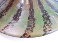 LE VERRE FRANCAIS. (photo 3)