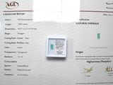 une photo d'un certificat sur laquelle figure la photo d'une personne