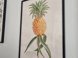 three framed pineapples hang on a wall in a room
