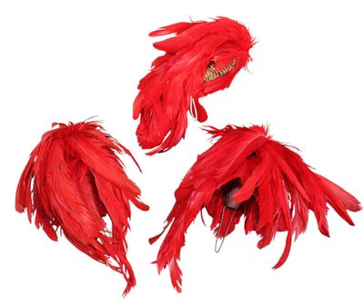 three pieces of red feathers on a white background