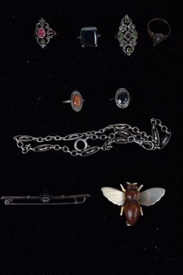 an assortment of jewelry including a bee, a necklace, and a broochet