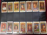 a lot of cards that are on a table