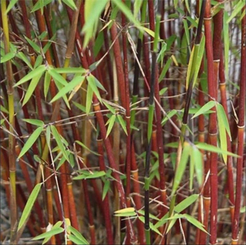 Destockage & Invendus