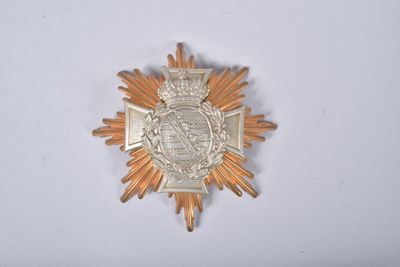l'image d'une étoile dorée surmontée d'une couronne