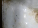 un gros plan sur un lavabo dans une salle de bains