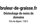 Photo 1/1 du lot