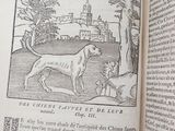 an open book with a picture of a dog and a cat