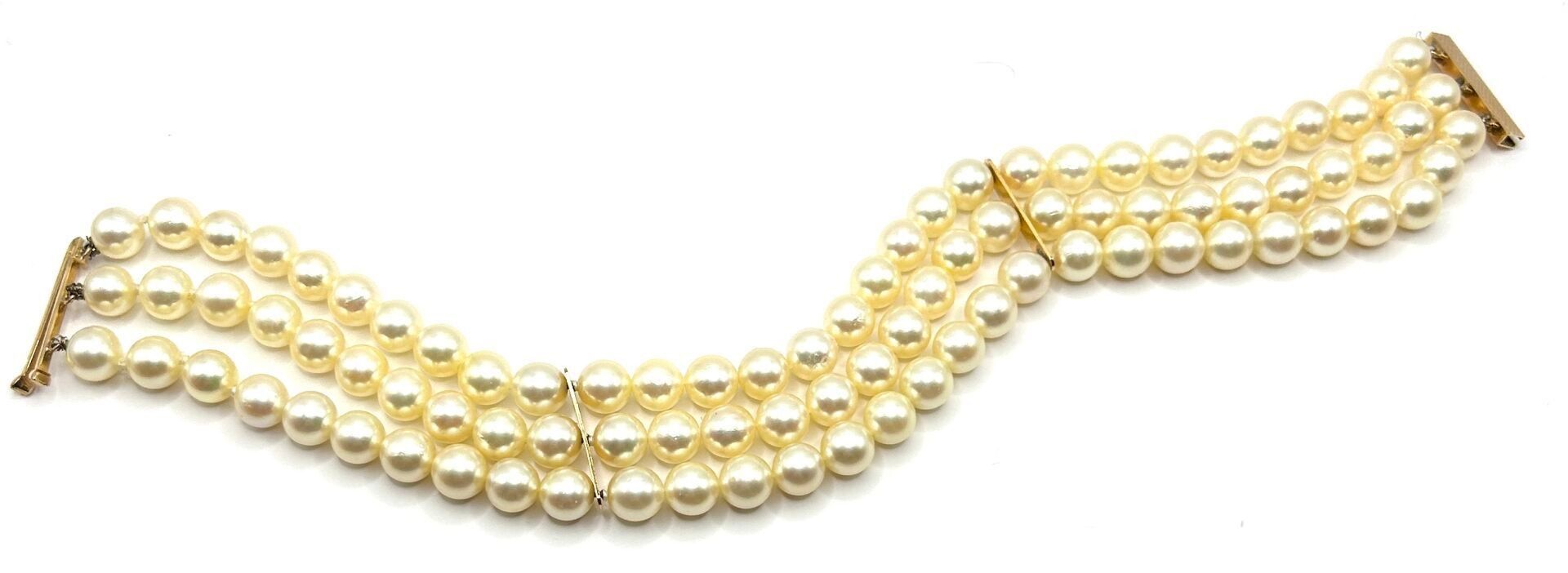 Objets d'art & Curiosités