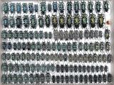 a picture of a picture of a collection of beetles