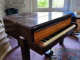 un piano à queue dans une pièce où il y a un tapis au sol