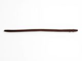 an image of a stick with a long brown stick sticking out of it ' s end