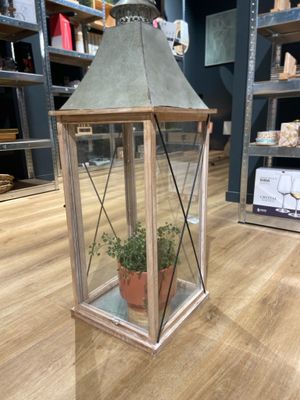 une petite plante en pot placée à l'intérieur d'une lanterne posée au sol