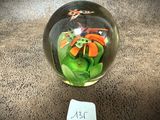 un vase en verre contenant une plante