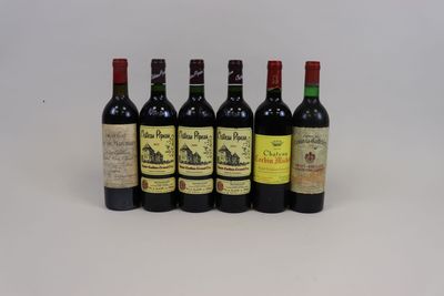 six bouteilles de vin sont alignées sur une surface blanche