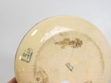 a person holding a yellow plate with a picture on it