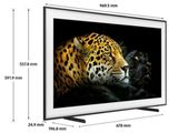 Le téléviseur est présenté avec les dimensions de l'écran et l'image d'un léopard.