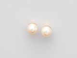 a pair of pearl earrings on a white background