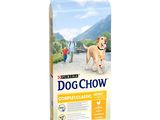 Dog Chow Adult Large Breed : croquettes pour chiens adultes de grande race à base de poulet et de riz