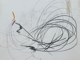 a drawing of a bird with a long tail on a piece of paper