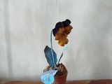 une petite fleur dans un pot posé sur une table
