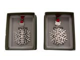 two silver snowflake ornaments in a box on a white background