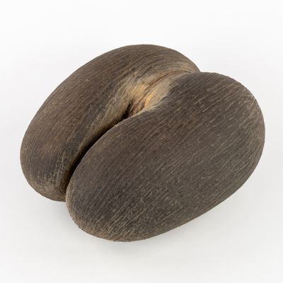 deux morceaux de bois posés l'un sur l'autre