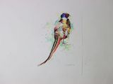 painting of a pheasant on a piece of paper on a table