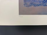 une photo d'une photo d'un oiseau dans l'eau