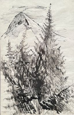 une image représentant un dessin d'une montagne avec des arbres au premier plan