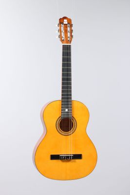 a guitar hanging on a wall with a white background