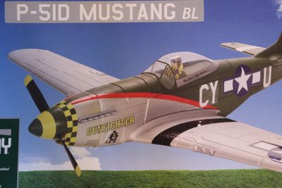 a picture of a model of a p - 51 mustang bl