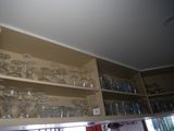 many glasses on the shelves in the kitchen