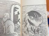 an open book with a picture of a cat and a dog on it
