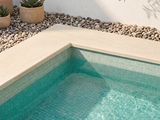 une petite piscine au milieu d'un petit jardin