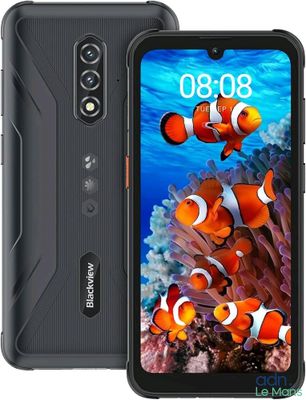 Le téléphone Blackview est représenté avec l'image d'un poisson à l'écran.