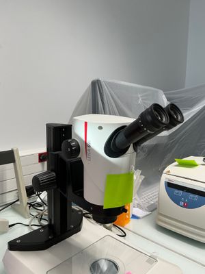 a microscope that is sitting on top of a counter