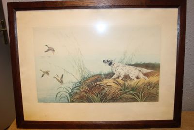 une image représentant un chien dans un champ d'herbe