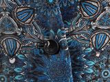 a close up of a blue and black floral print shirt