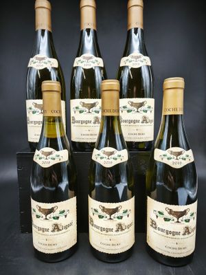 six bouteilles de vin sont alignées sur un fond noir