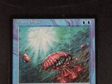 a card with a picture of a bug on it